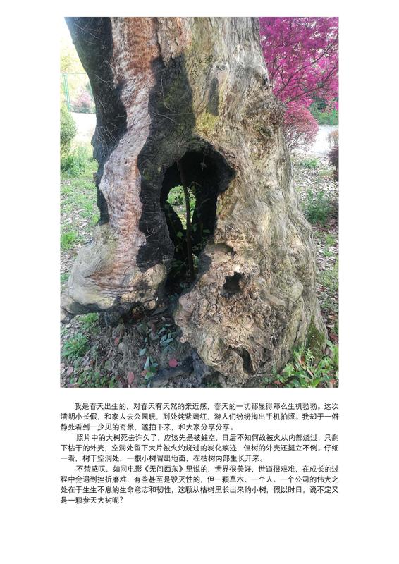摄影比赛02.jpg
