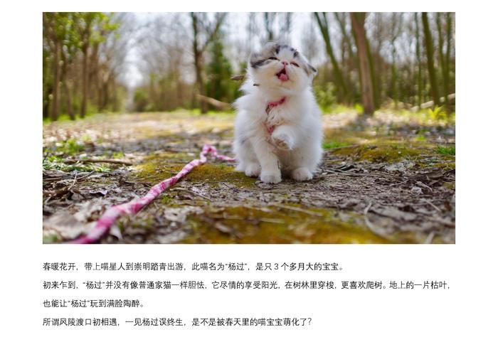 摄影比赛09.jpg