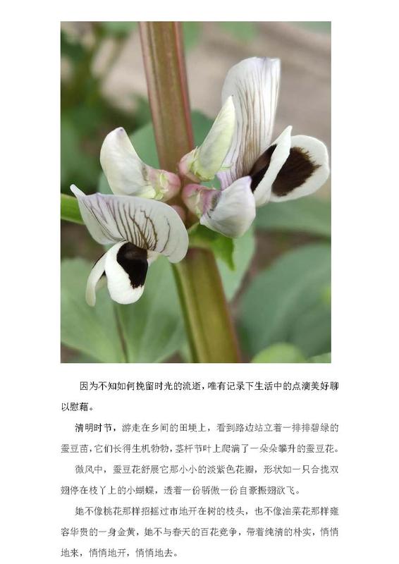 摄影比赛12.jpg