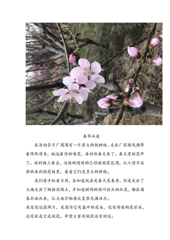 摄影比赛04.jpg